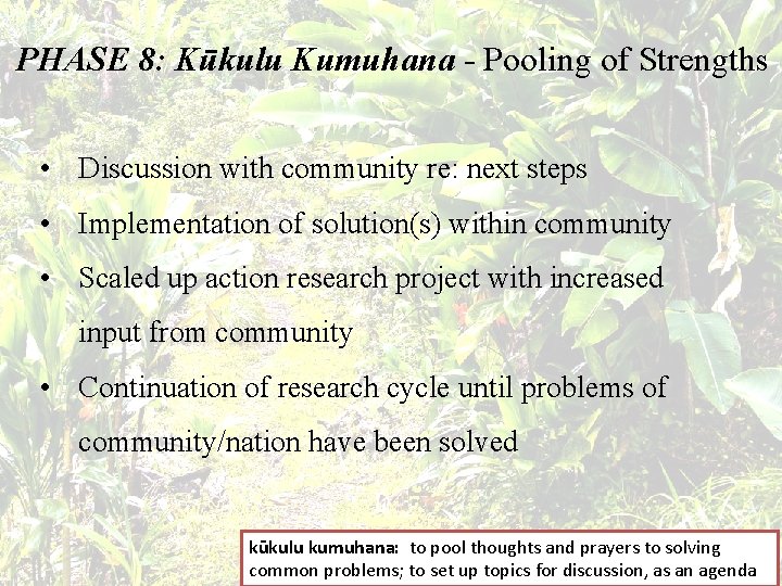 PHASE 8: Kūkulu Kumuhana - Pooling of Strengths • Discussion with community re: next