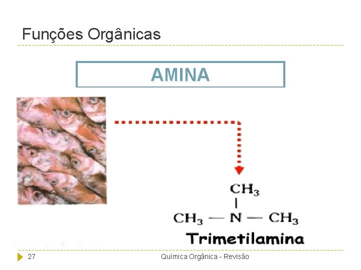 Funções Orgânicas AMINA 27 Química Orgânica - Revisão 