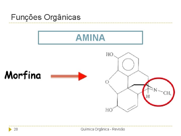 Funções Orgânicas AMINA 28 Química Orgânica - Revisão 