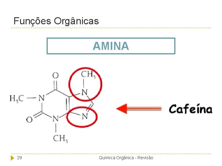 Funções Orgânicas AMINA 29 Química Orgânica - Revisão 
