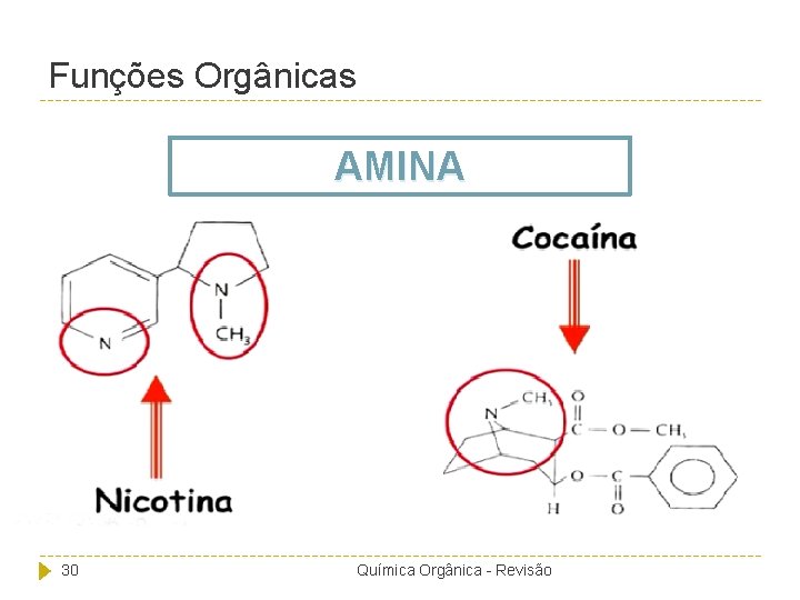 Funções Orgânicas AMINA 30 Química Orgânica - Revisão 