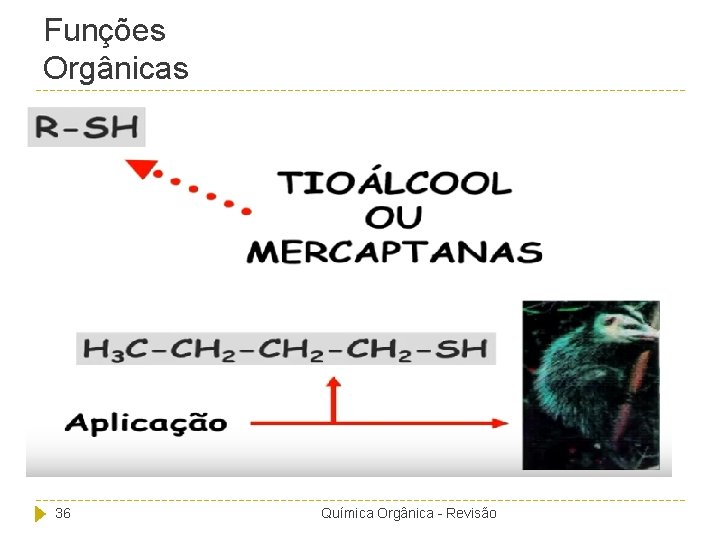 Funções Orgânicas 36 Química Orgânica - Revisão 