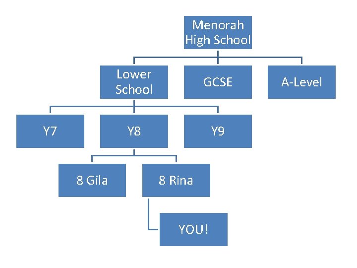 Menorah High School Y 7 8 Gila Lower School GCSE Y 8 Y 9