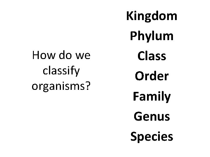 How do we classify organisms? Kingdom Phylum Class Order Family Genus Species 
