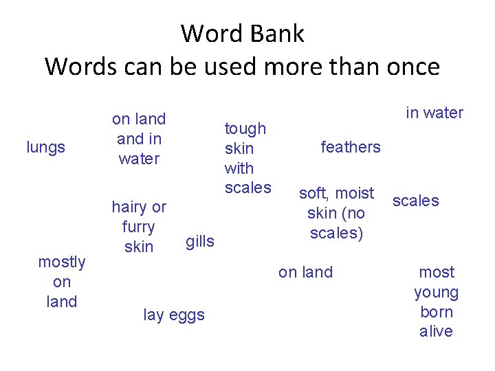 7 D Classification - Vertebrates Word Bank Words can be used more than once