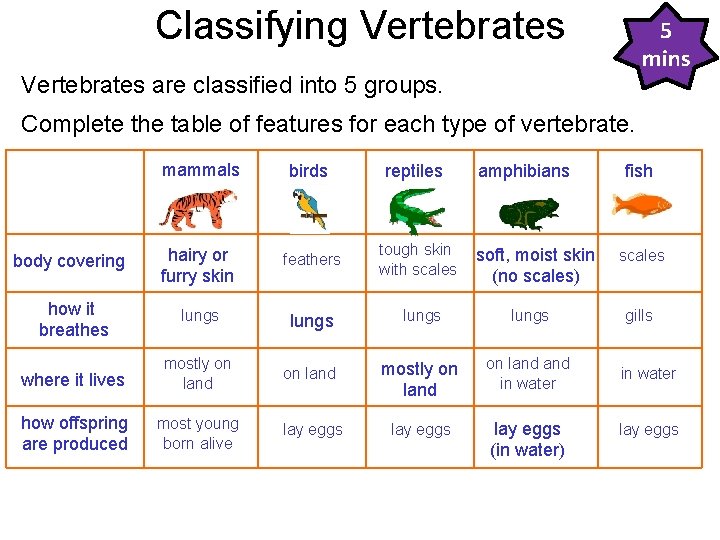7 D Classification - Vertebrates Classifying Vertebrates 5 mins Vertebrates are classified into 5