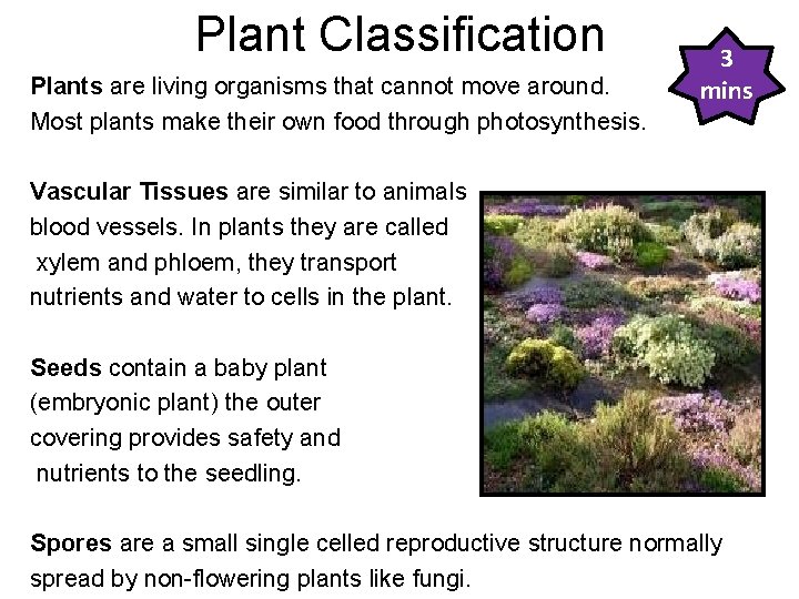 Plant Classification Plants are living organisms that cannot move around. Most plants make their