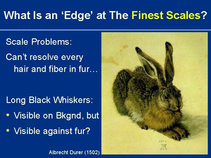 What Is an ‘Edge’ at The Finest Scales? Scale Problems: Can’t resolve every hair