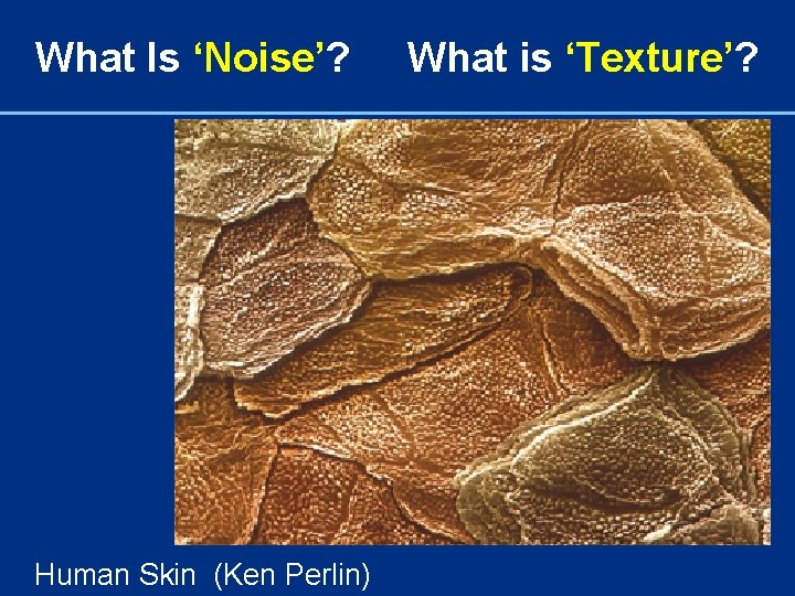 What Is ‘Noise’? Human Skin (Ken Perlin) What is ‘Texture’? 