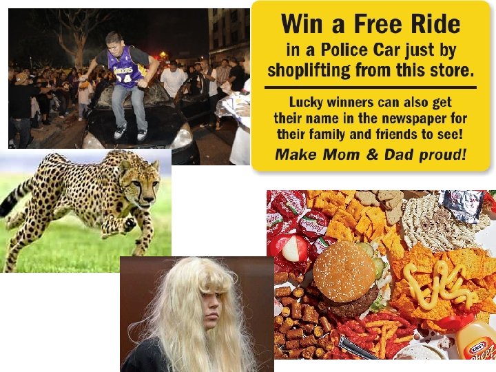 Copyright © Allyn & Bacon 2007 