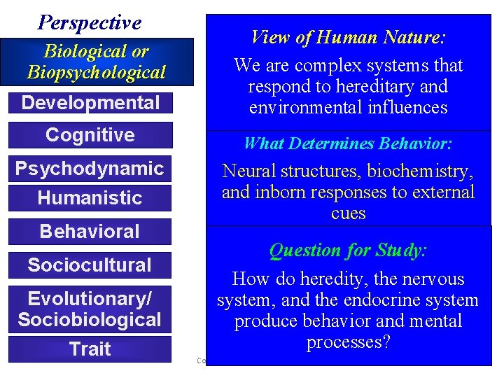 Perspective Developmental View of Human Nature: We are complex systems that respond to hereditary