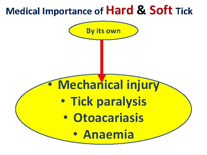 Medical Importance of Hard & Soft Tick By its own • Mechanical injury • Medical Importance of Hard & Soft Tick By its own • Mechanical injury •