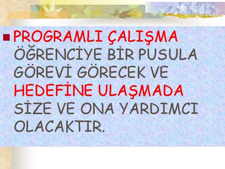 n PROGRAMLI ÇALIŞMA ÖĞRENCİYE BİR PUSULA GÖREVİ GÖRECEK VE HEDEFİNE ULAŞMADA SİZE VE ONA