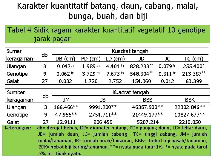 Karakter kuantitatif batang, daun, cabang, malai, bunga, buah, dan biji Tabel 4 Sidik ragam