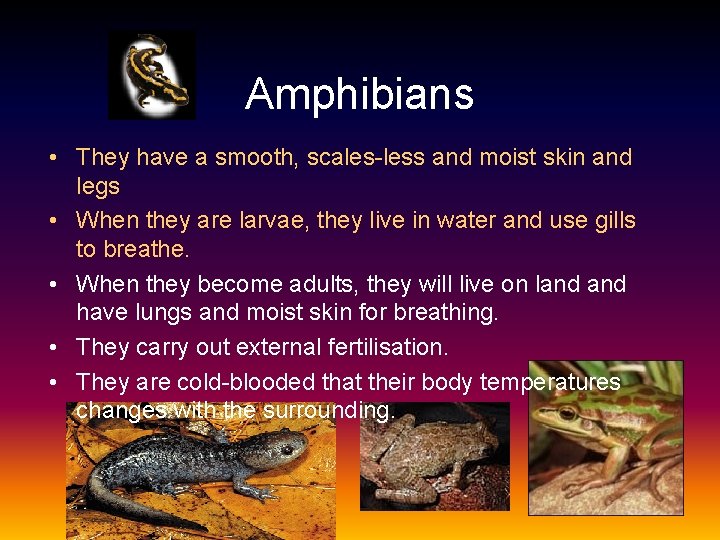 Amphibians • They have a smooth, scales-less and moist skin and legs • When