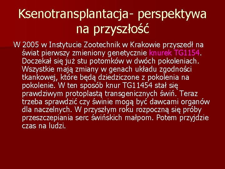 Ksenotransplantacja- perspektywa na przyszłość W 2005 w Instytucie Zootechnik w Krakowie przyszedł na świat