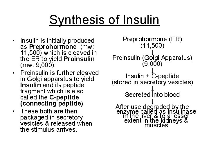 Synthesis of Insulin • Insulin is initially produced as Preprohormone (mw: 11, 500) which