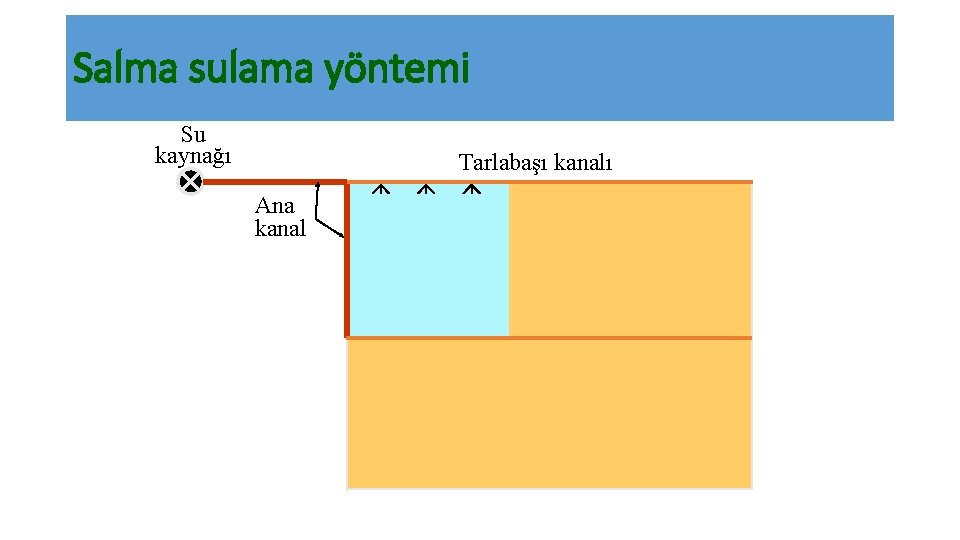 Salma sulama yöntemi Su kaynağı Tarlabaşı kanalı Ana kanal 