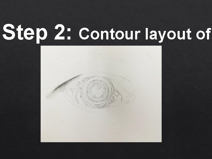 Step 2: Contour layout of 