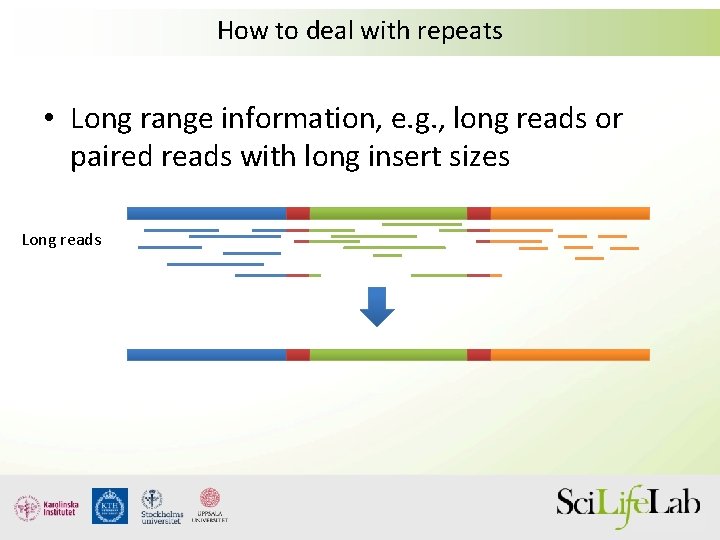 How to deal with repeats • Long range information, e. g. , long reads