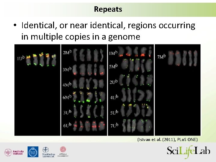 Repeats • Identical, or near identical, regions occurring in multiple copies in a genome