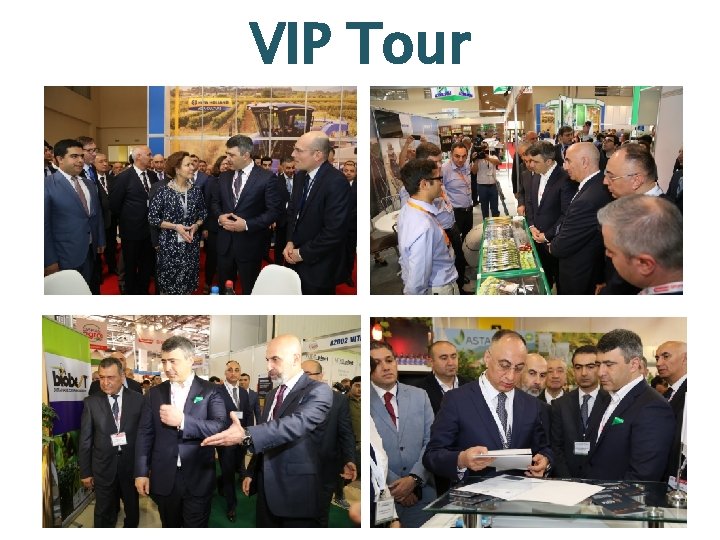 VIP Tour 