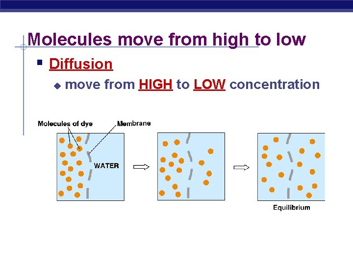 Molecules move from high to low § Diffusion u move from HIGH to LOW