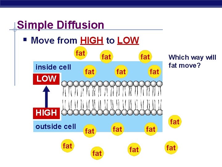 Simple Diffusion § Move from HIGH to LOW fat inside cell LOW fat fat
