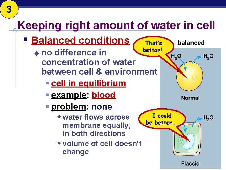 3 Keeping right amount of water in cell § Balanced conditions u That’s better!