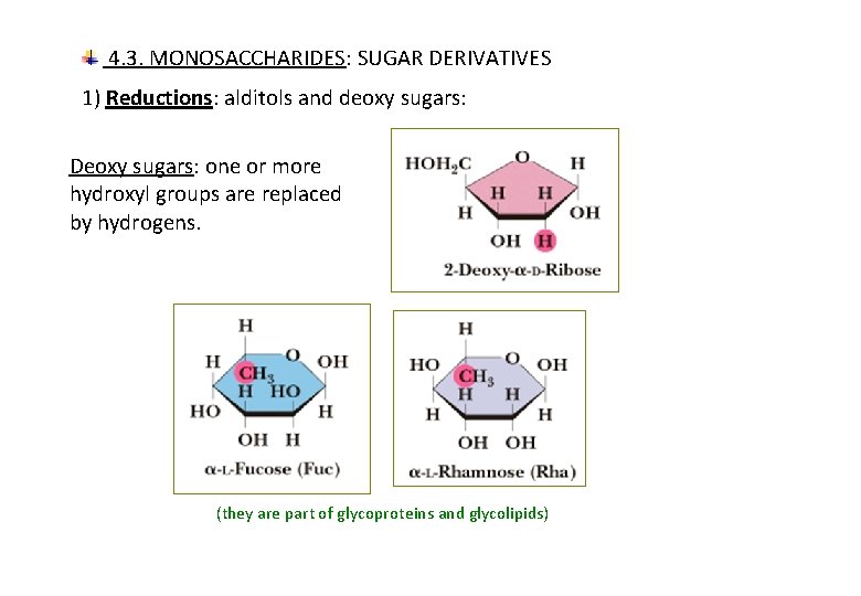 4. 3. MONOSACCHARIDES: SUGAR DERIVATIVES 1) Reductions: alditols and deoxy sugars: Deoxy sugars: one