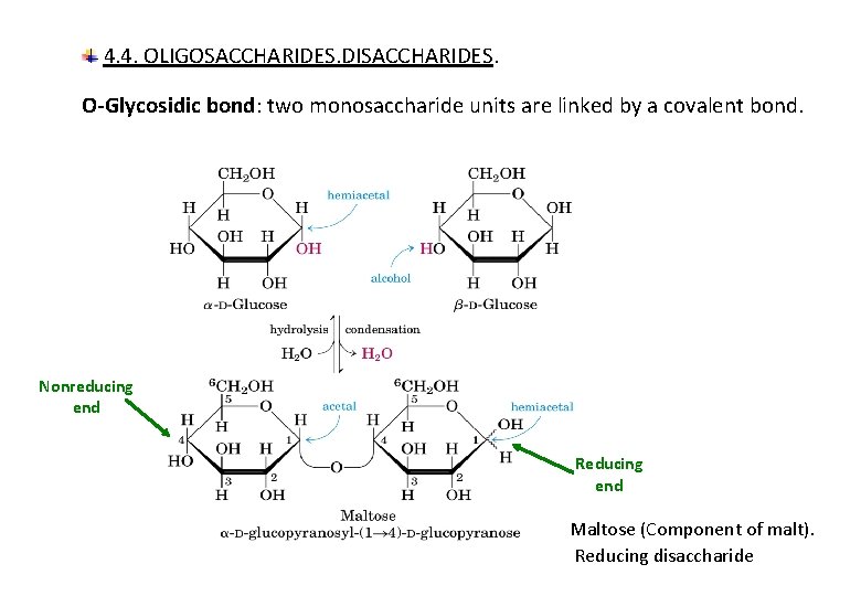4. 4. OLIGOSACCHARIDES. DISACCHARIDES. O-Glycosidic bond: two monosaccharide units are linked by a covalent