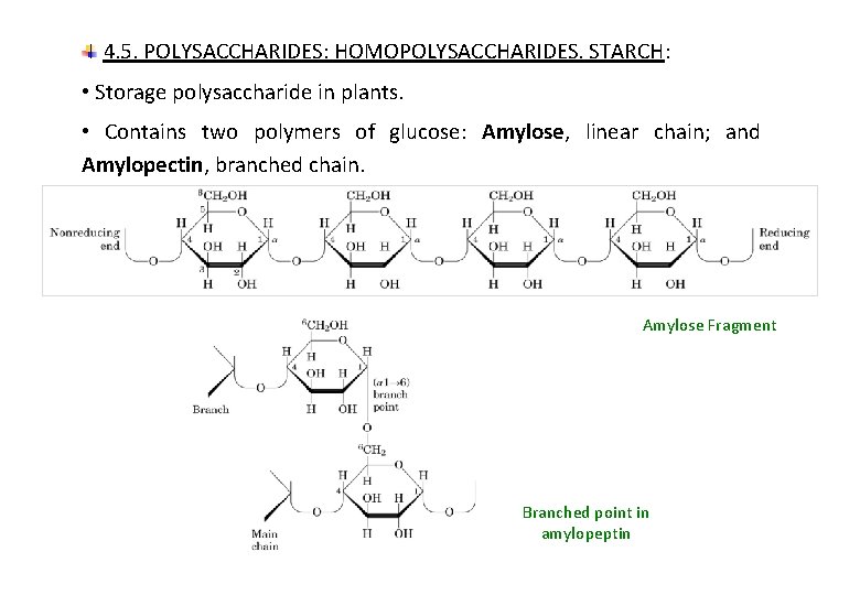 4. 5. POLYSACCHARIDES: HOMOPOLYSACCHARIDES. STARCH: • Storage polysaccharide in plants. • Contains two polymers
