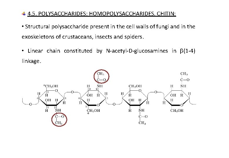 4. 5. POLYSACCHARIDES: HOMOPOLYSACCHARIDES. CHITIN: • Structural polysaccharide present in the cell walls of