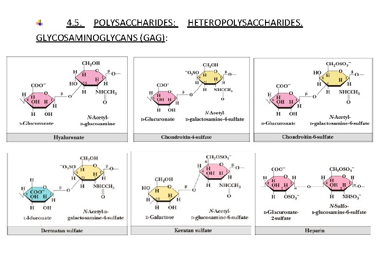 4. 5. POLYSACCHARIDES: GLYCOSAMINOGLYCANS (GAG): HETEROPOLYSACCHARIDES. 