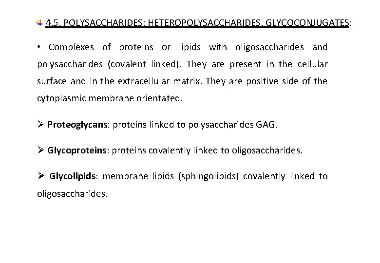 4. 5. POLYSACCHARIDES: HETEROPOLYSACCHARIDES. GLYCOCONJUGATES: • Complexes of proteins or lipids with oligosaccharides and