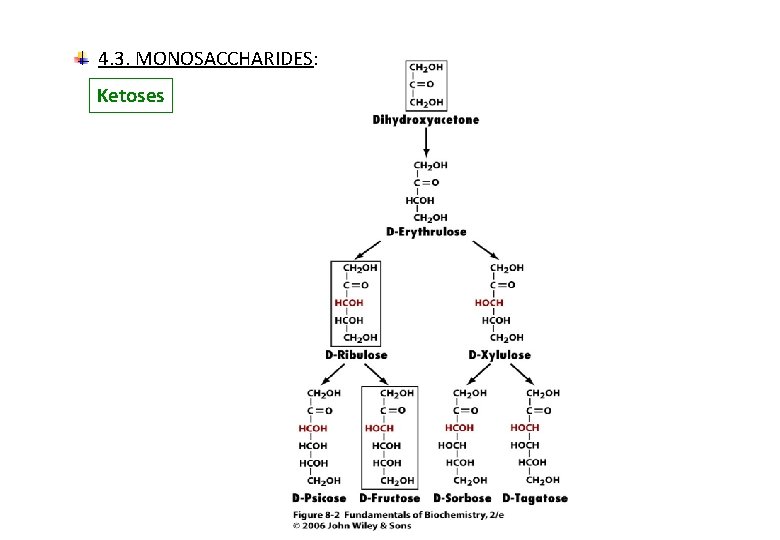 4. 3. MONOSACCHARIDES: Ketoses 