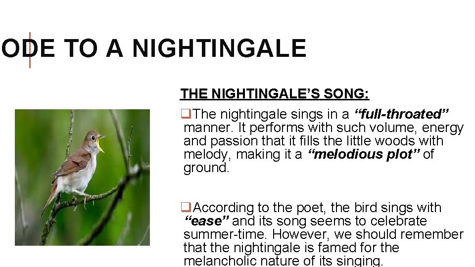 ODE TO A NIGHTINGALE THE NIGHTINGALE’S SONG: q. The nightingale sings in a “full-throated”