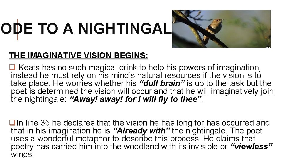 ODE TO A NIGHTINGALE THE IMAGINATIVE VISION BEGINS: q Keats has no such magical