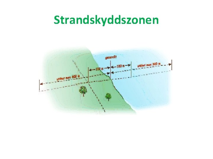 Strandskyddszonen 