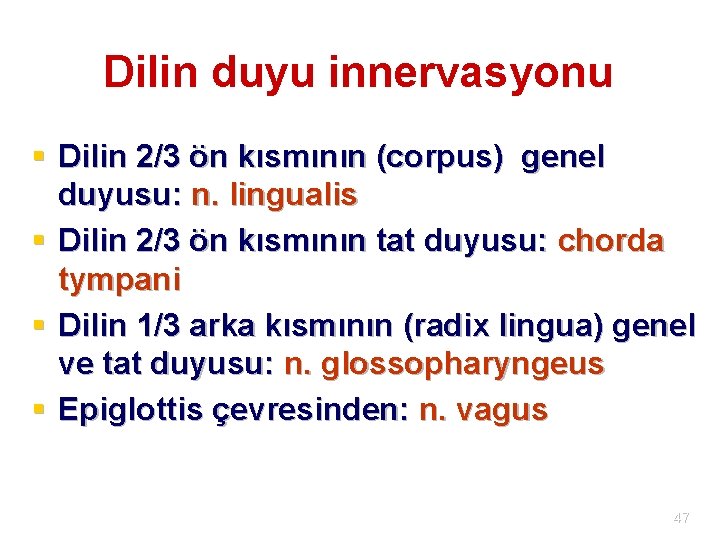 Dilin duyu innervasyonu § Dilin 2/3 ön kısmının (corpus) genel duyusu: n. lingualis §