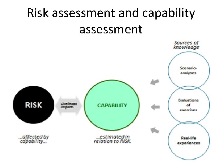 Risk assessment and capability assessment 