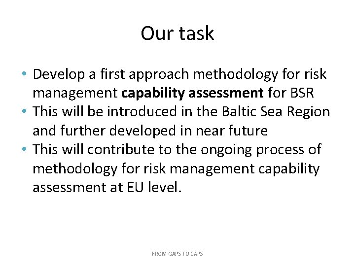 Our task • Develop a first approach methodology for risk management capability assessment for