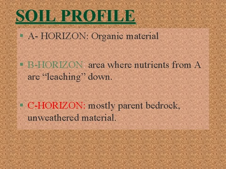 SOIL PROFILE § A- HORIZON: Organic material § B-HORIZON: area where nutrients from A