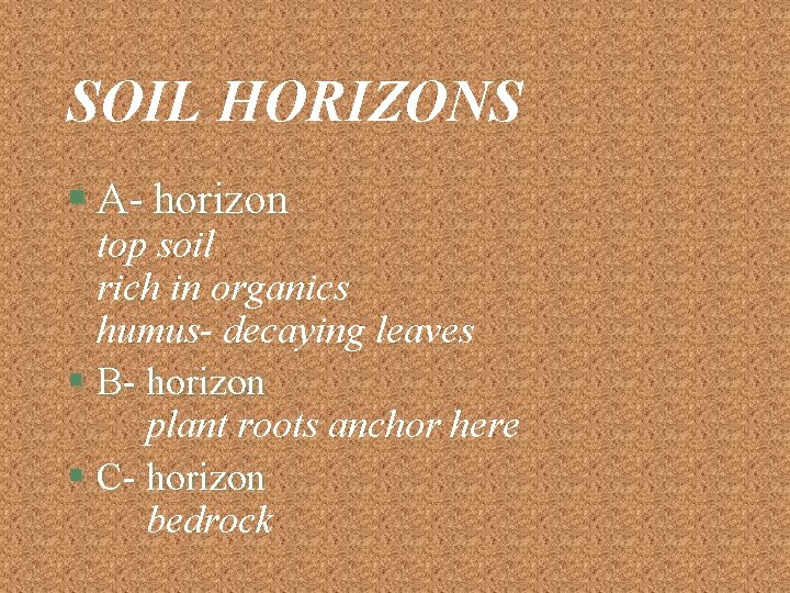 SOIL HORIZONS § A- horizon top soil rich in organics humus- decaying leaves §