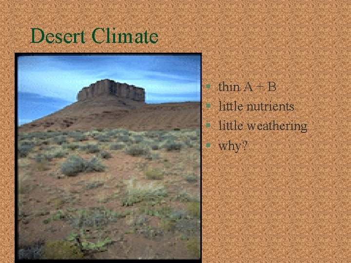 Desert Climate § § thin A + B little nutrients little weathering why? 