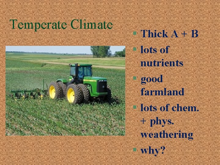 Temperate Climate § Thick A + B § lots of nutrients § good farmland