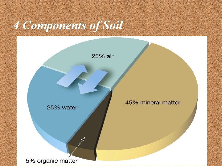 4 Components of Soil 