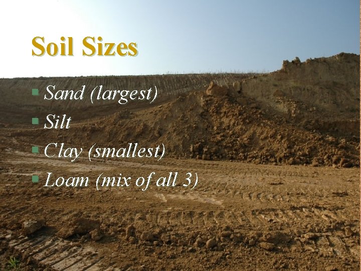 Soil Sizes § Sand (largest) § Silt § Clay (smallest) § Loam (mix of