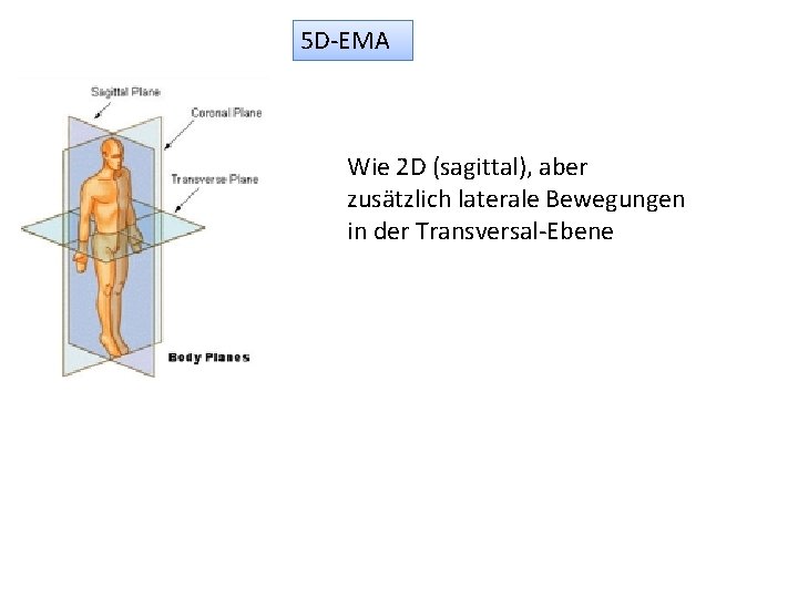 5 D-EMA Wie 2 D (sagittal), aber zusätzlich laterale Bewegungen in der Transversal-Ebene 