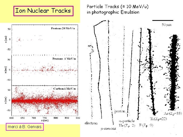 Ion Nuclear Tracks merci à B. Gervais 